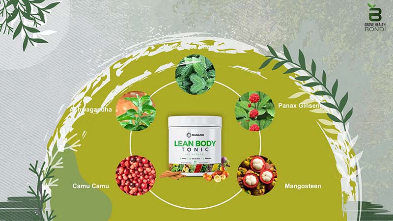 Ingredients of Nagano Lean Body Tonic